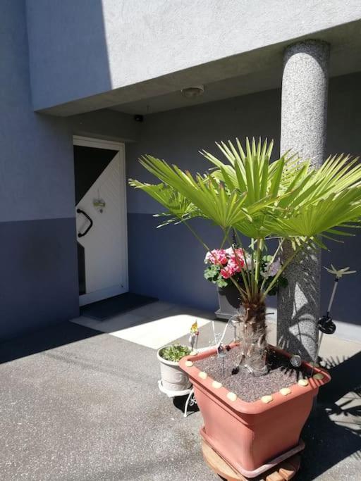 Appartement Agreable Haguenau Eksteriør bilde
